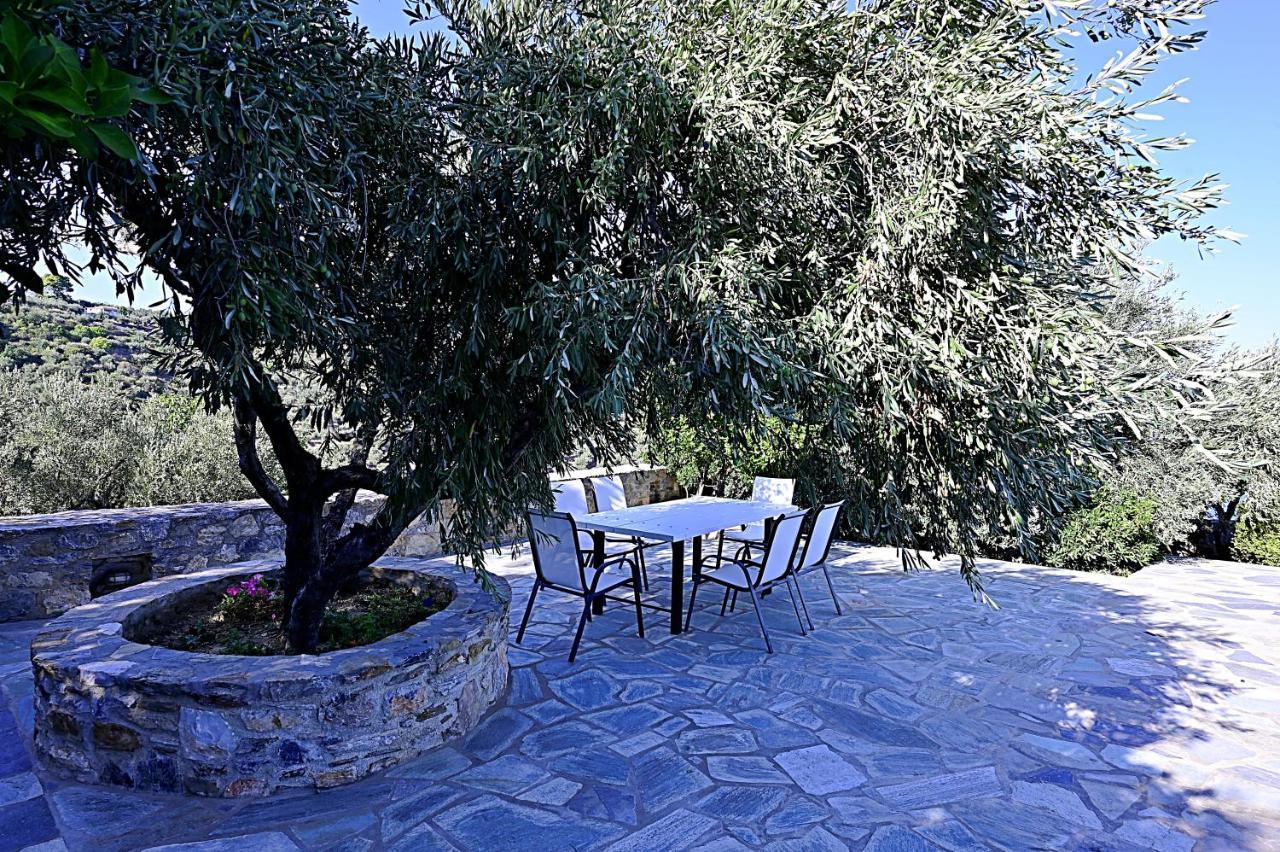 Danai Villa Skopelos Town Exterior foto